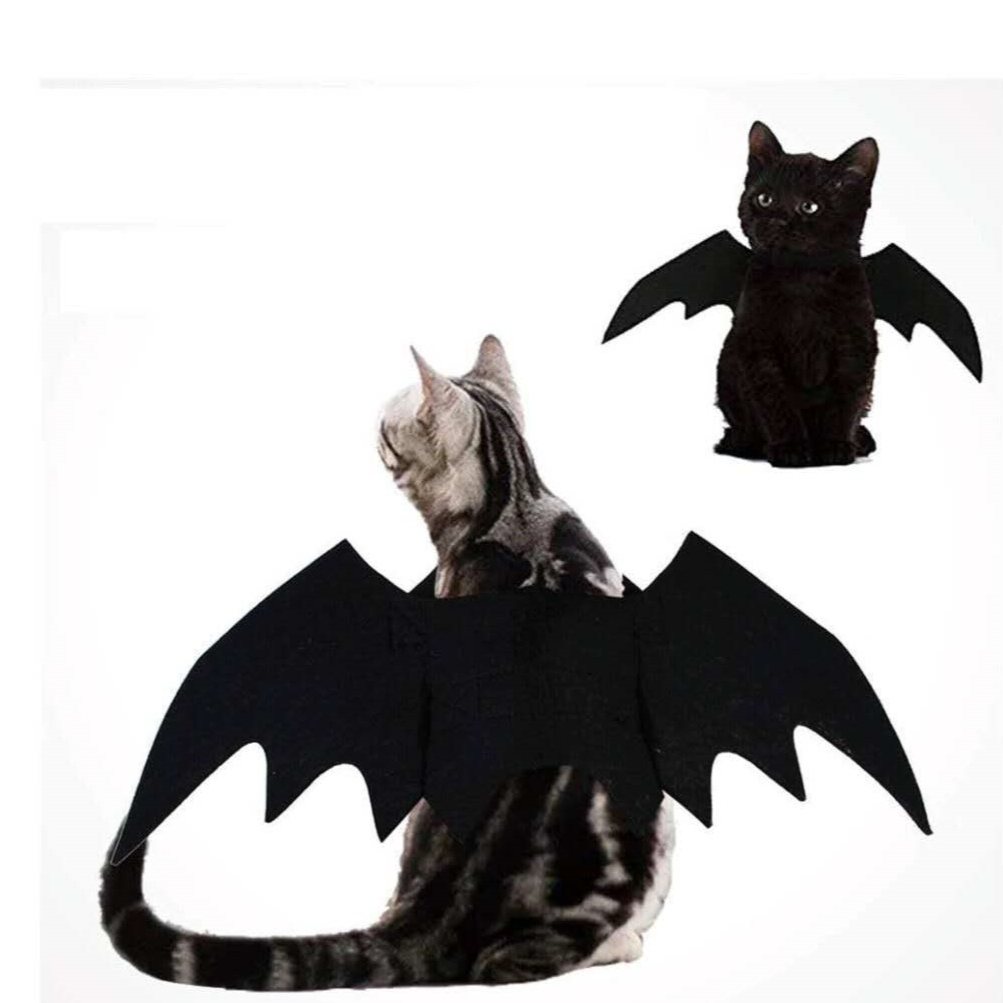 Cat Bat Wings