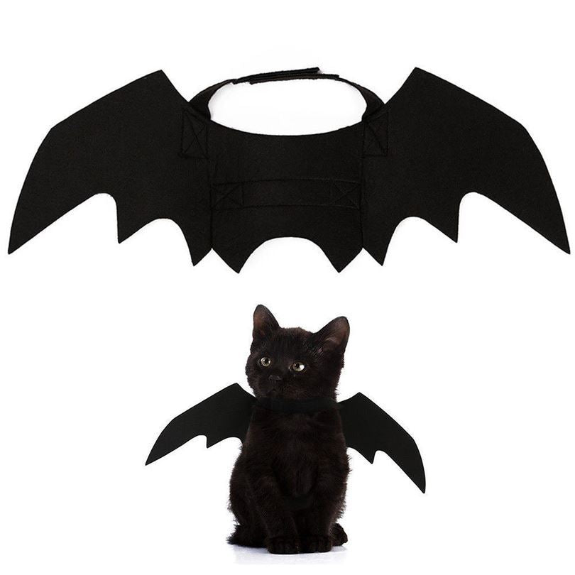 Cat Bat Wings
