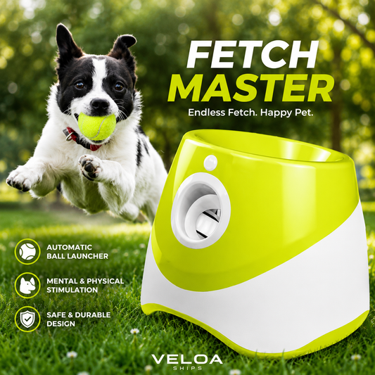 Fetch Master